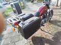 Suzuki GS 550 Shopper - thumbnail 4