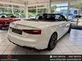 Audi S5 Cabrio 3.0 TFSI quattr LED*ACC*AHK*Kamera*20" Weiß - thumbnail 11