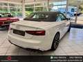 Audi S5 Cabrio 3.0 TFSI quattr LED*ACC*AHK*Kamera*20" Weiß - thumbnail 7