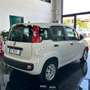 Fiat Panda 1.3 mjt 16v Bianco - thumbnail 4