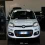 Fiat Panda 1.3 mjt 16v Bianco - thumbnail 1