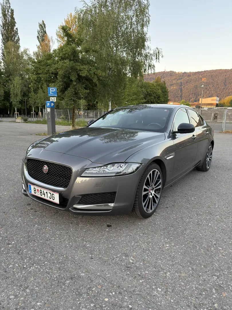Jaguar XF Portfolio Grau - 1