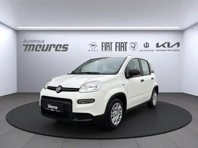 Fiat Panda PANDINA Hybrid 70 PS, Gelato Weiß, Klima, 5-Sitzer