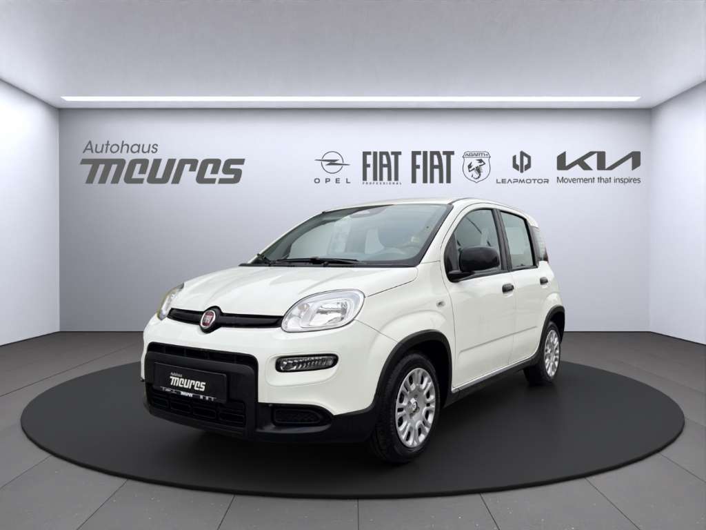 Brugt Fiat Panda Pandina