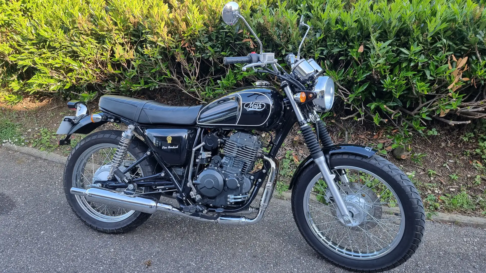 Mash Schwarz - 1