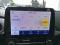 Ford Puma 1,0 EcoBoost Hybrid Titanium Aut. Blau - thumbnail 21