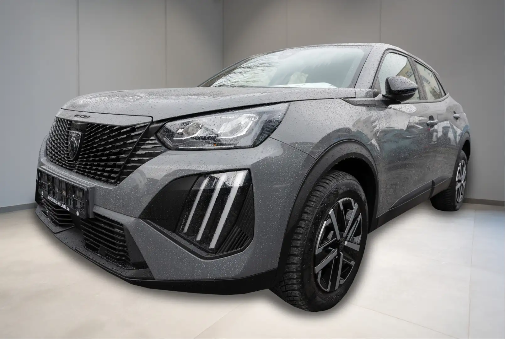 Peugeot 2008 Active 1.2 PureTech 100 Gris - 1