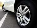 Audi Q7 3.0TDI quattro Tiptronic Blanco - thumbnail 6