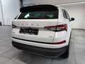 Skoda Kodiaq 2.0 TSI 4x4 DSG 7 posti Bianco - thumbnail 5