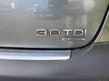 Audi A6 allroad 3.0TDI Tiptronic DPF Gris - thumbnail 10