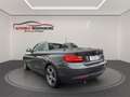 BMW 218 d Cabrio Sport Line 1.HAND PDC XEN LED TEMP Grigio - thumbnail 6
