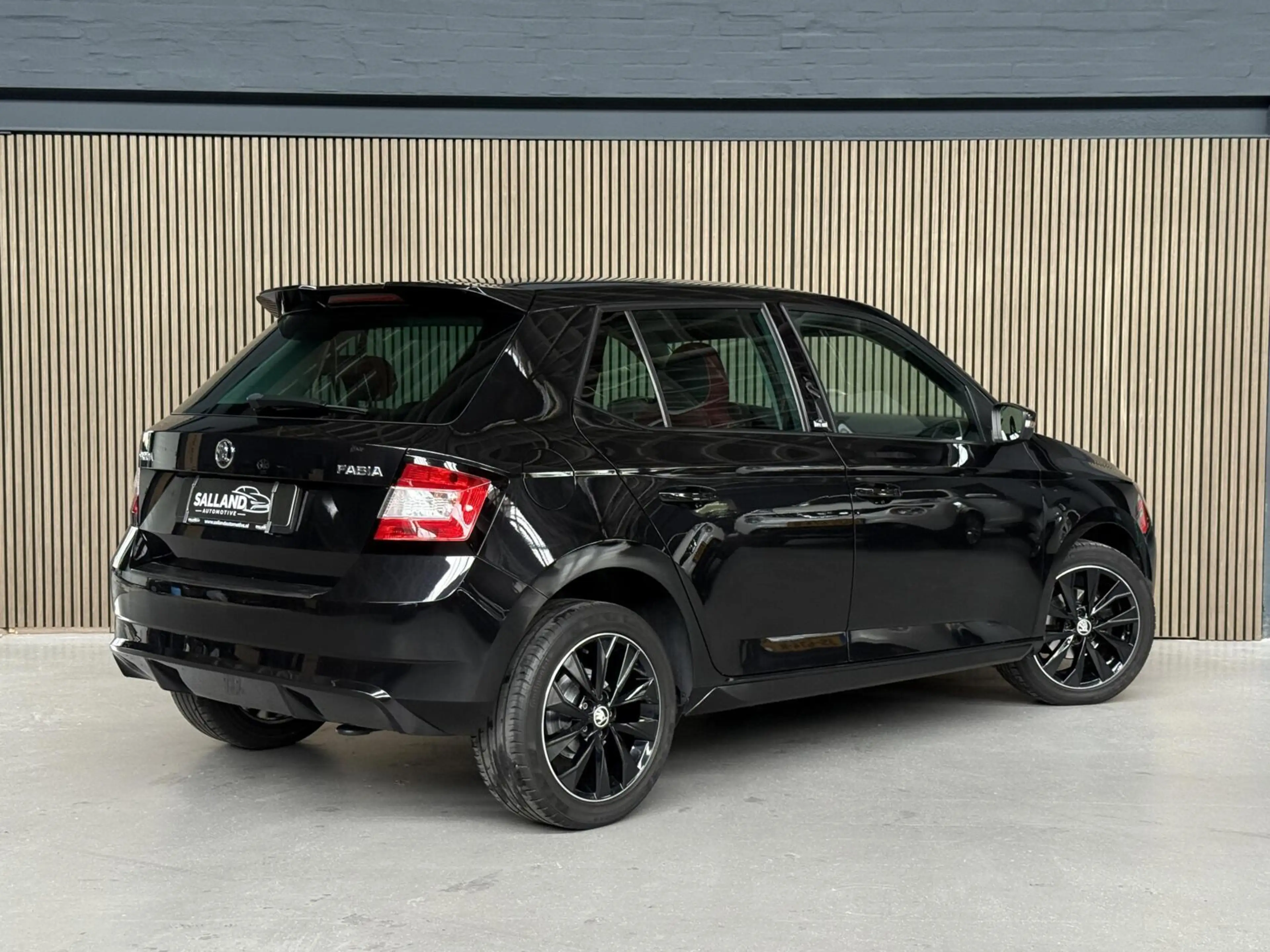 Skoda Fabia 1.0 TSI Monte Carlo |PANO|2e EIG|AIRCO|VOL ONDER — photo 2