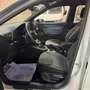 SEAT Arona Arona 2024 1.0 Eco TSI Xperience 110cv DSG Weiß - thumbnail 6