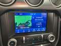 Ford Mustang 5.0 Ti-VCT V8 GT 2+2 Automatik/NAVI - thumbnail 14