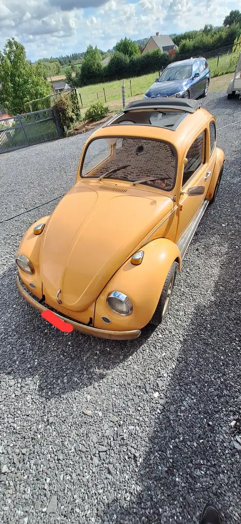 Volkswagen Coccinelle - 1