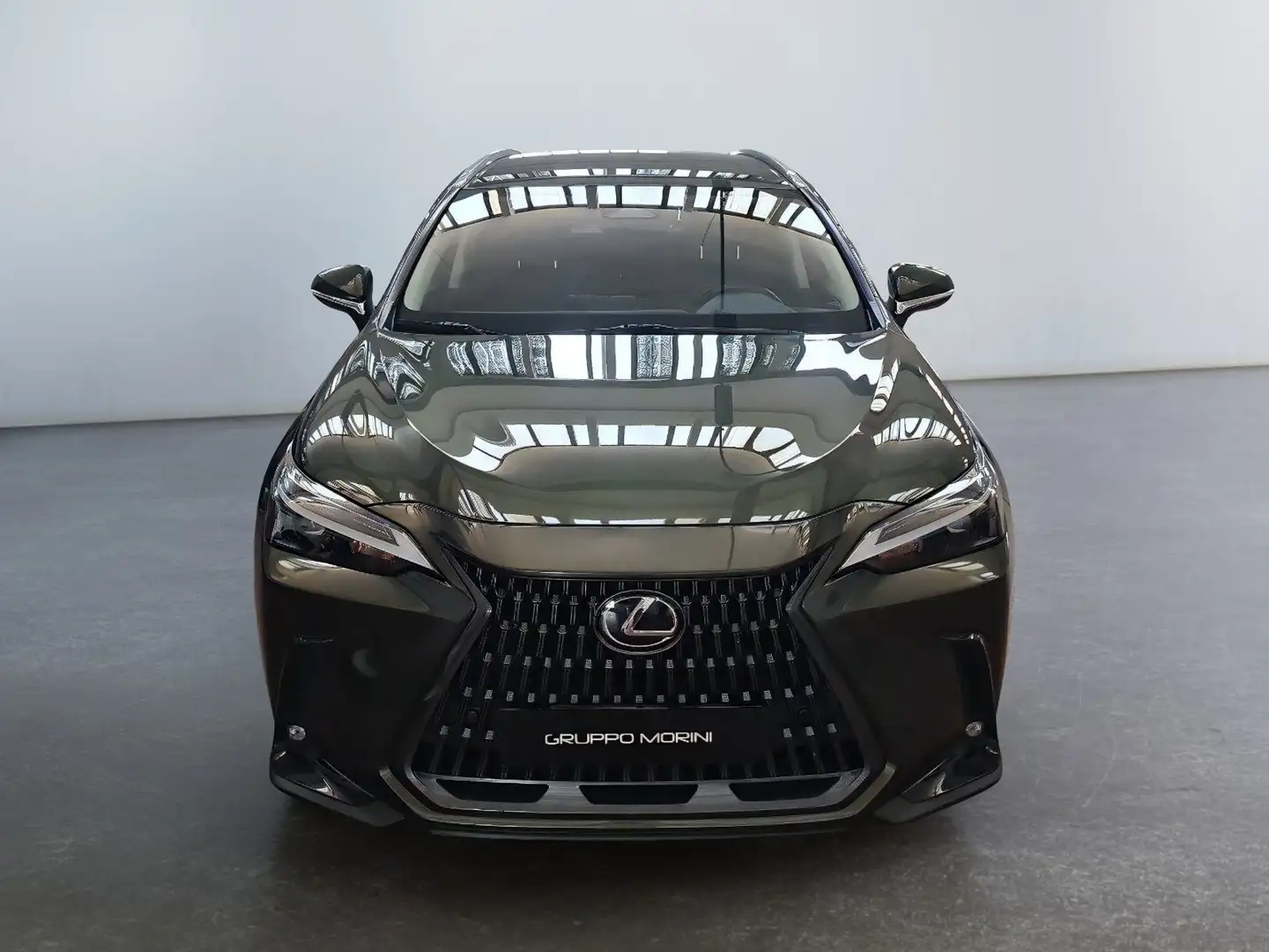 Lexus NX 300 Plug-in 4WD Premium - 2