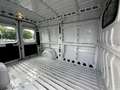 Opel Movano Cargo Edition L2H2 3,5t 2.2 Diesel KLIMA White - thumbnail 8