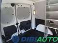 Renault Kangoo Blue dCi 115CV Express Furgone  PREZZO REALE Bianco - thumbnail 11