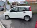 Fiat Panda NEW PANDA 1200 /BENZINA ..62000 KM/ no vincoli Bianco - thumbnail 3