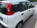 Fiat Panda NEW PANDA 1200 /BENZINA ..62000 KM/ no vincoli Bianco - thumbnail 4