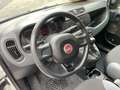 Fiat Panda NEW PANDA 1200 /BENZINA ..62000 KM/ no vincoli Bianco - thumbnail 7