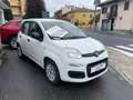 Fiat Panda NEW PANDA 1200 /BENZINA ..62000 KM/ no vincoli Bianco - thumbnail 2