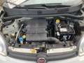 Fiat Panda NEW PANDA 1200 /BENZINA ..62000 KM/ no vincoli Bianco - thumbnail 10
