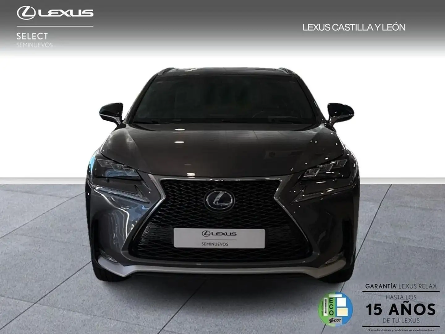 Lexus NX 200t F-SPORT 4WD Grau - 2