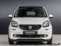 smart forFour EQ passion forfour Panorama/Klima/Sitzheizung Weiß - thumbnail 5
