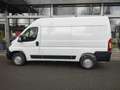 Opel Movano Movano Cargo L2H2 3,3t Navi Allwetter Holzlbode Blanc - thumbnail 4