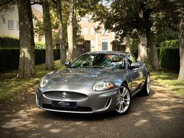 5.0 V8 Coupé Portfolio