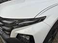 Hyundai TUCSON FL PRIME Pano Assist-Paket DigitalKey ECS Weiß - thumbnail 12