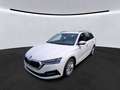 Skoda Octavia Combi 2.0 TDI Ambition *AHK*DAB*LED* Weiß - thumbnail 2