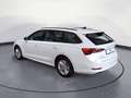 Skoda Octavia Combi 2.0 TDI Ambition *AHK*DAB*LED* Weiß - thumbnail 3