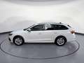 Skoda Octavia Combi 2.0 TDI Ambition *AHK*DAB*LED* Wit - thumbnail 3