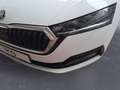Skoda Octavia Combi 2.0 TDI Ambition *AHK*DAB*LED* Wit - thumbnail 13