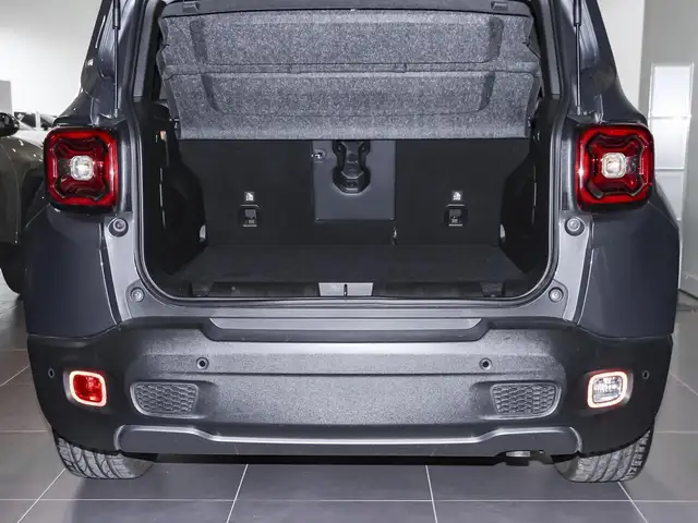 Jeep Renegade view 8