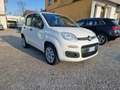 Fiat Panda 0.9 t.air t. 4 POSTI TG: EZ242XC OK NEOPATENTATI Bianco - thumbnail 4