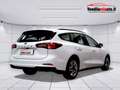 Ford Focus 1.5 Ecoblue 120cv Business Auto (Presso la sede di Padova) Weiß - thumbnail 10