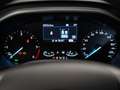 Ford Focus 1.5 Ecoblue 120cv Business Auto (Presso la sede di Padova) Weiß - thumbnail 17