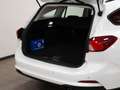 Ford Focus 1.5 Ecoblue 120cv Business Auto (Presso la sede di Padova) Weiß - thumbnail 11
