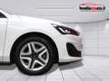 Ford Focus 1.5 Ecoblue 120cv Business Auto (Presso la sede di Padova) Weiß - thumbnail 6