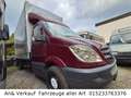 Mercedes-Benz Sprinter II Pritsche /315 CDI Rosso - thumbnail 13