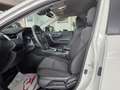 Toyota RAV 4 220H e-CVT 4x2 Advance Blanc - thumbnail 23