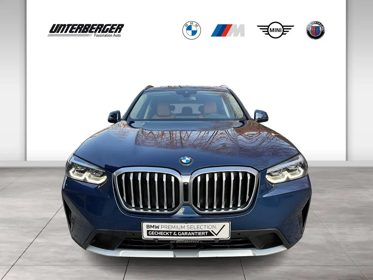 BMW X3 xDrive20d AHK-HiFi-BMW Live Cockpit Professional-D 2