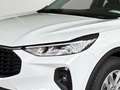 Ford Kuga TITANIUM 150 PS EcoBoost/Benzin (PROMPT VERFÜGBAR) Weiß - thumbnail 6