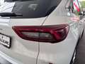 Ford Kuga TITANIUM 150 PS EcoBoost/Benzin (PROMPT VERFÜGBAR) Weiß - thumbnail 10