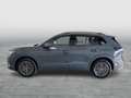 Volkswagen Tiguan Friends eTSI DSG Grau - thumbnail 2