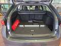 Skoda Octavia Combi TOUR 2,0 TDI DSG +AHK+NAVI+MATRIX Grau - thumbnail 15