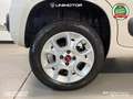 Fiat Panda Lounge 0.9 TwinAir Natural Power 85cv - Metano Білий - thumbnail 8